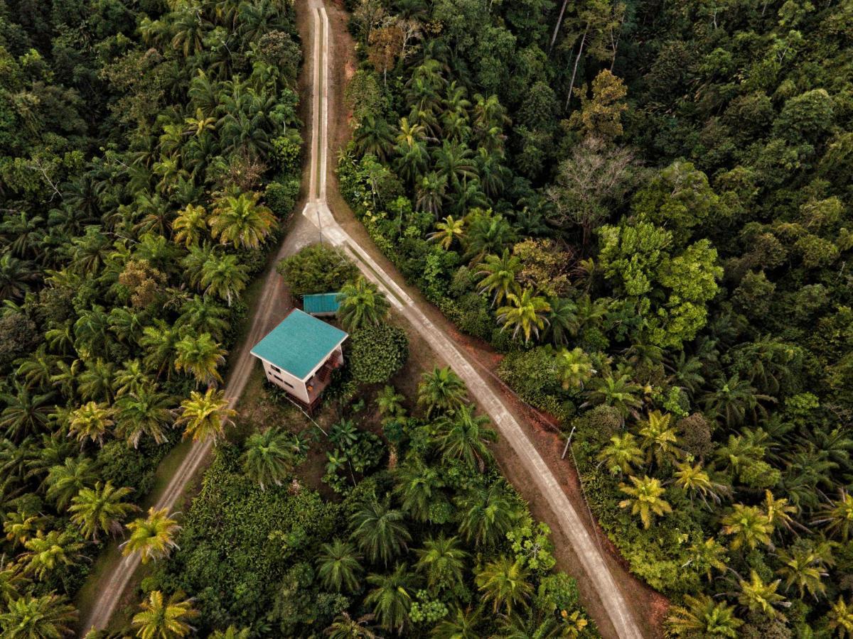 Corcovado Private Villas - Corcovado Private Reserve Puerto Jiménez Buitenkant foto