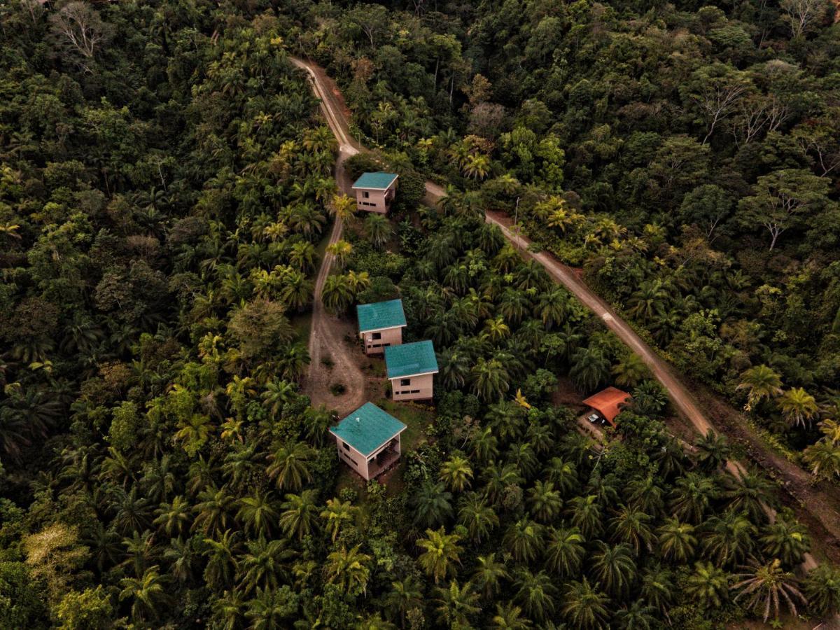 Corcovado Private Villas - Corcovado Private Reserve Puerto Jiménez Buitenkant foto
