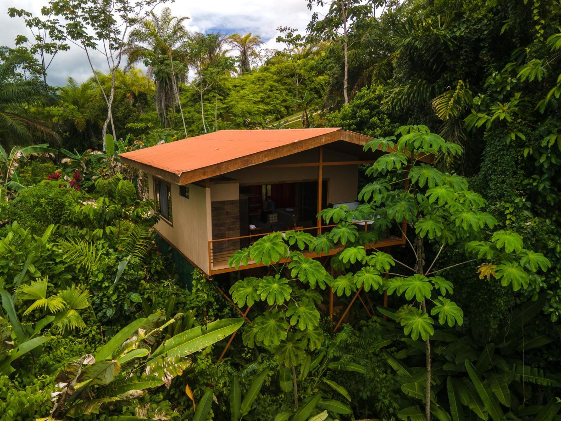 Corcovado Private Villas - Corcovado Private Reserve Puerto Jiménez Buitenkant foto