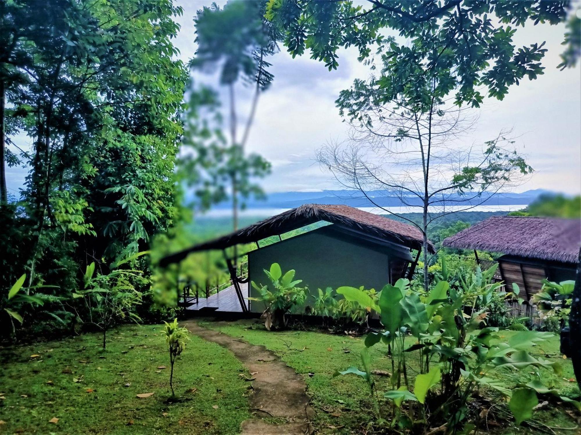 Corcovado Private Villas - Corcovado Private Reserve Puerto Jiménez Buitenkant foto