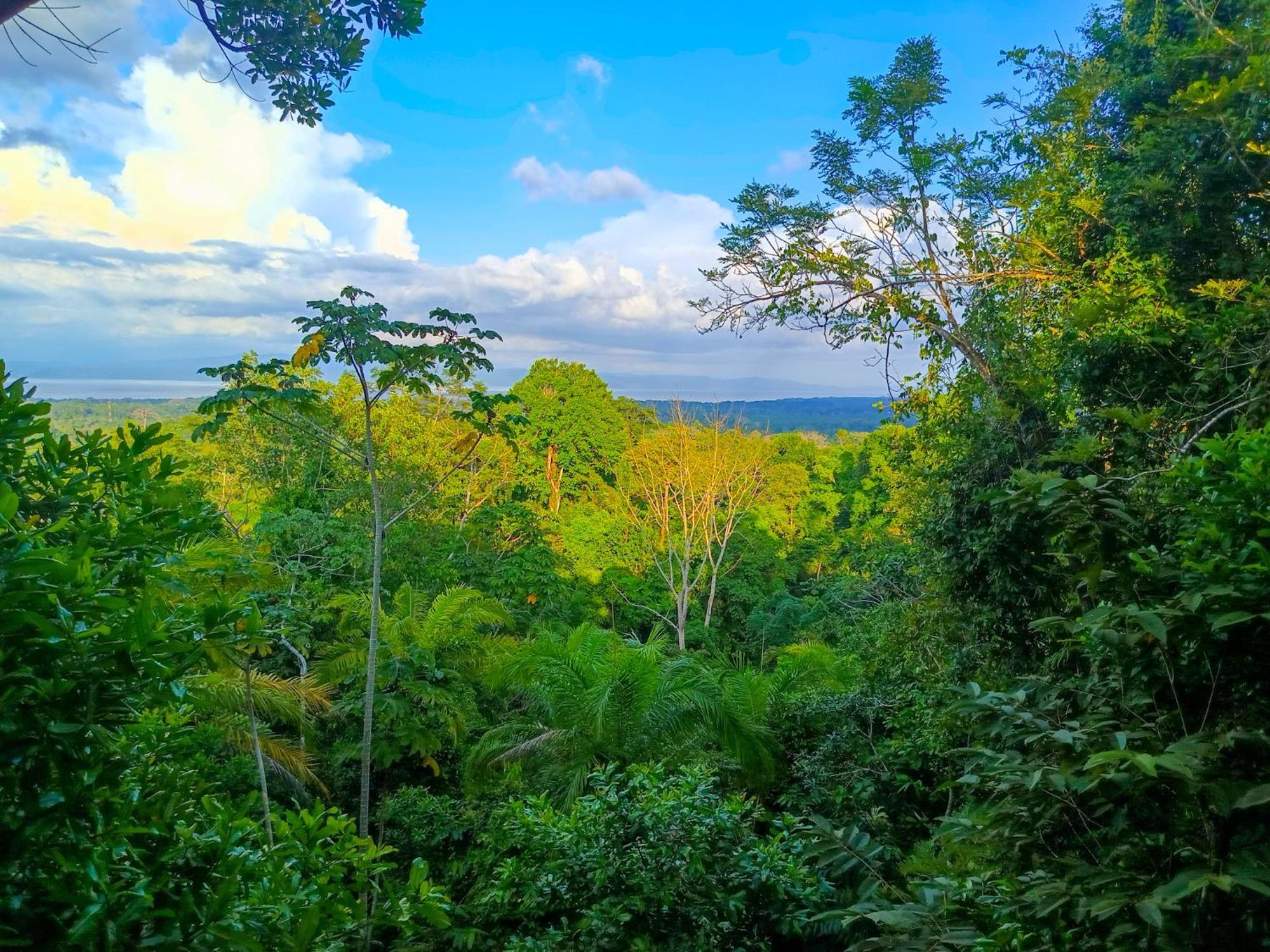 Corcovado Private Villas - Corcovado Private Reserve Puerto Jiménez Buitenkant foto