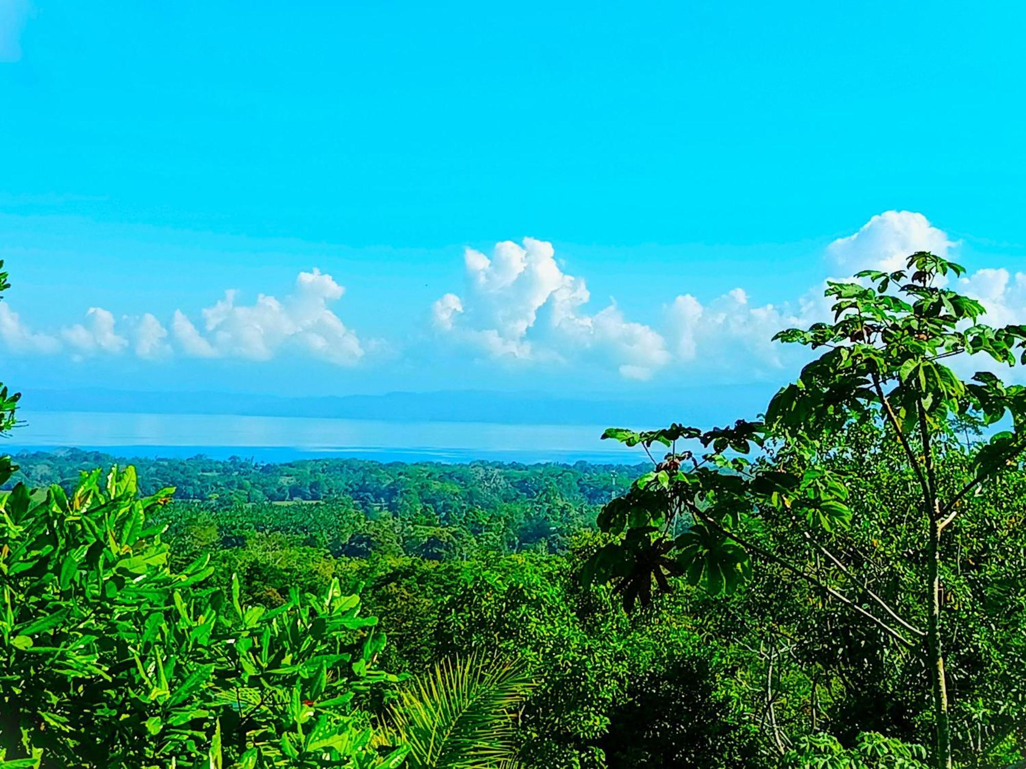 Corcovado Private Villas - Corcovado Private Reserve Puerto Jiménez Buitenkant foto