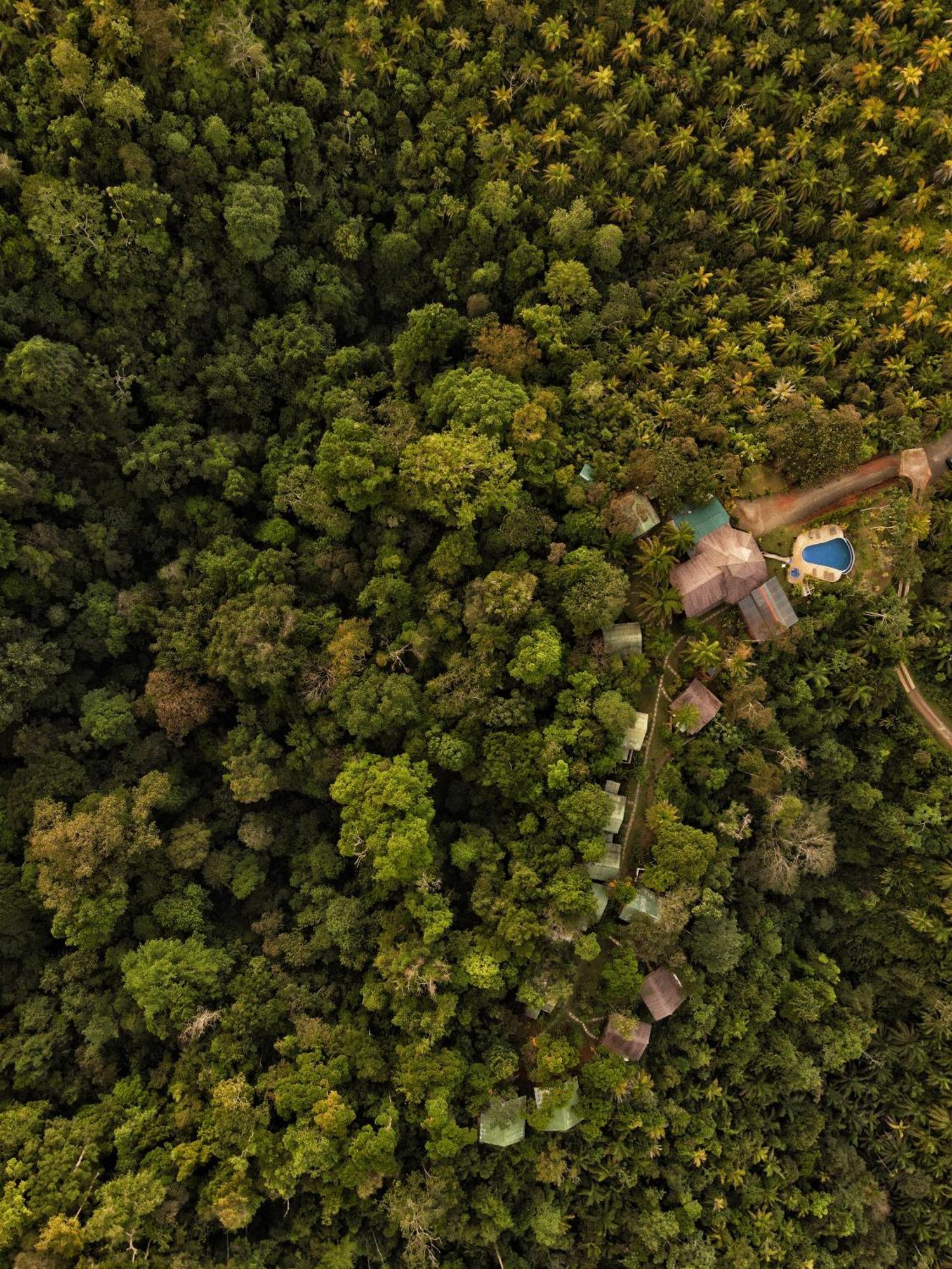 Corcovado Private Villas - Corcovado Private Reserve Puerto Jiménez Buitenkant foto